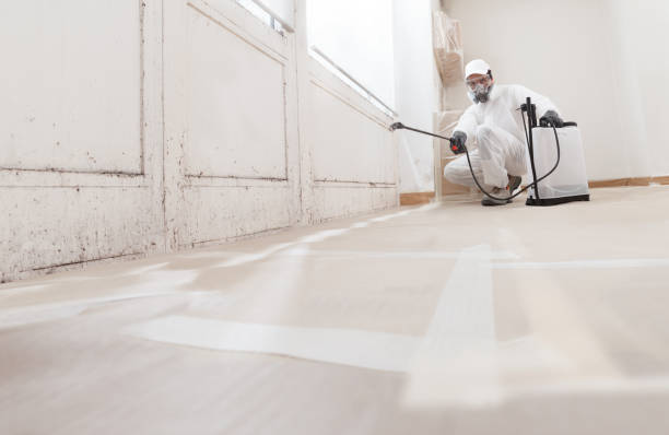 24/7 Emergency Mold Testing experts in Pipersville, PA